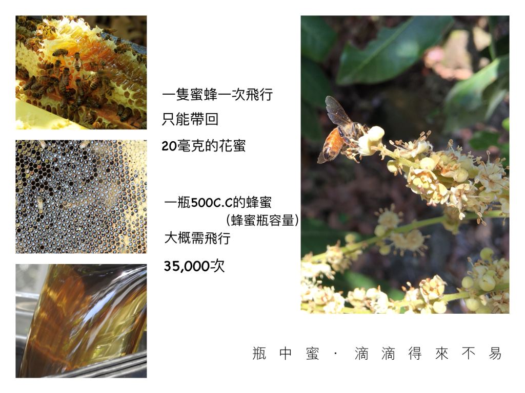 台灣蜂蜜 龍眼蜜 安蜂養蜂場